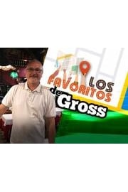 LOS FAVORITOS DE GROSS