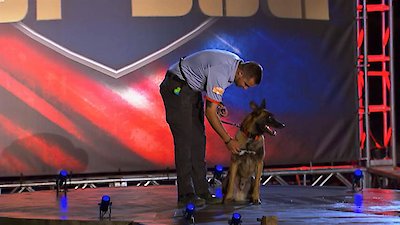 America's Top Dog Season 1 Episode 3