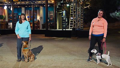 America's Top Dog Season 2 Episode 2