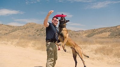 America's Top Dog Season 2 Episode 4