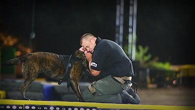 America's Top Dog Season 3 Episode 1