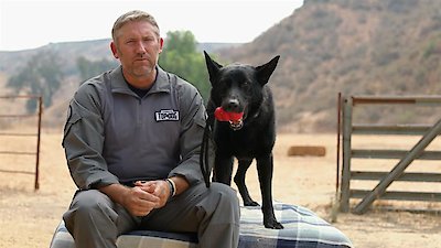 America's Top Dog Season 3 Episode 4