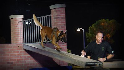 America's Top Dog Season 3 Episode 7