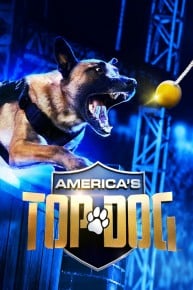 America's Top Dog