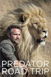 Predator Road Trip