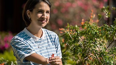 Little America Season 2 Episode 8