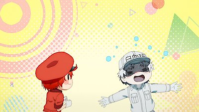 Crunchyroll on X: White Blood Cell to the rescue! 🏃‍♂️ (via Cells at Work!)   / X