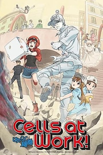 Watch Cells at Work! Streaming Online - Yidio