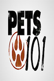 Pets 101