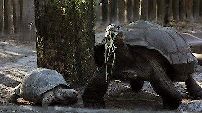 Secrets of the Zoo: Tampa Season 4 Episode 10