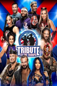 WWE: Tribute To The Troops