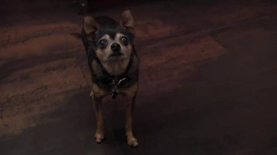 Guy's Big Bite Season 16 Episode 1