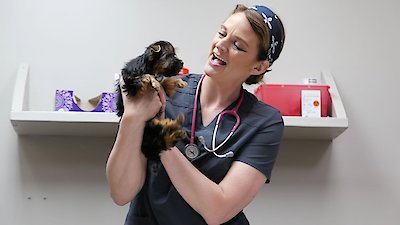 Heartland Docs, DVM Season 3 Episode 11