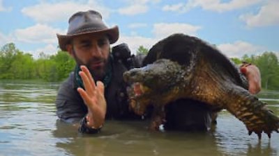 Watch Coyote Peterson: Brave the Wild Season 1 Episode 1 - Legendary