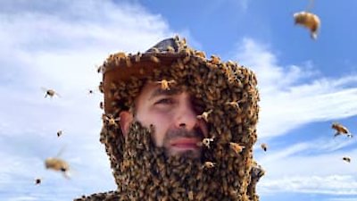 Coyote Peterson: Brave the Wild Season 1 Episode 4