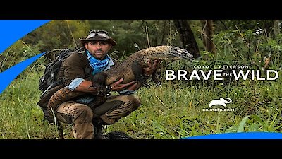 Watch Coyote Peterson: Brave the Wild Season 1 Episode 8 - Night of the