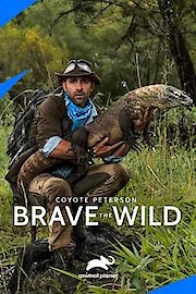 Coyote Peterson: Brave the Wild