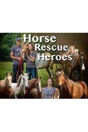 Horse Rescue Heroes