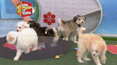 The Price is Right Season 46 Episode 90