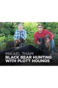 Mikael Tham: Black Bear Hunting with Plott Hounds