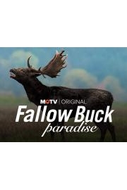 Fallow Buck Paradise