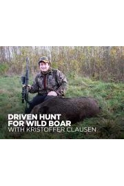 Driven Hunt for Wild Boar with Kristoffer Clausen