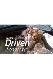 Driven Grouse