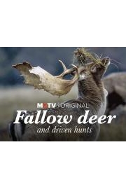 Fallow Deer and Driven Hunts