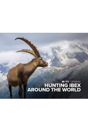 Hunting Ibex Around the World