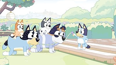 Bluey Season 1 Episode 9