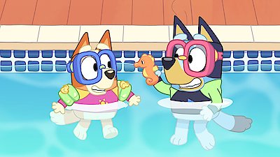 Bluey Season 1 Episode 22