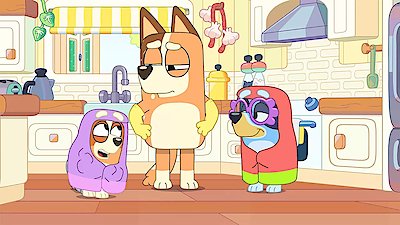 Bluey Season 1 Episode 28