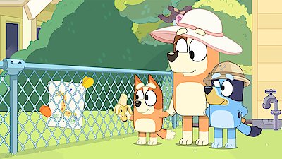 Bluey Season 1 Episode 35