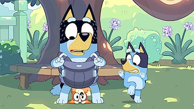 Bluey Season 8 Episode 5