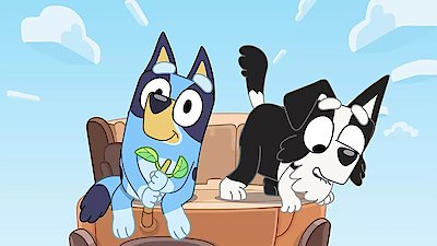 Bluey Season 2 Episode 45