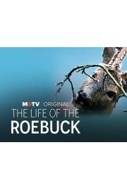 The Life of the Roebuck