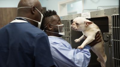 Critter Fixers: Country Vets Season 4 Episode 6