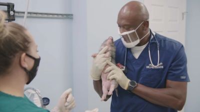Critter Fixers: Country Vets Season 4 Episode 12