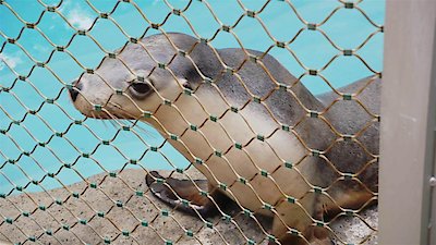 Secrets of the Zoo: Down Under Season 1 Episode 1