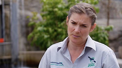 Secrets of the Zoo: Down Under Season 1 Episode 7