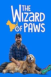 Wizard of Paws