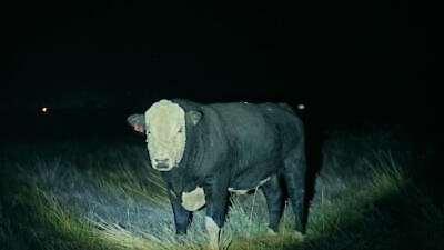 The Secret of Skinwalker Ranch Season 6 Episode 1