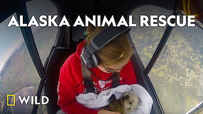 Alaska Animal Rescue Season 1 Episode 5