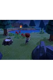 Animal Crossing New Horizons with Cottrello Games