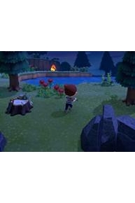 Animal Crossing New Horizons with Cottrello Games