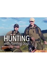 Hunting With Pointing Dogs