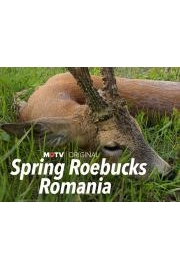 Spring Roebucks Romania
