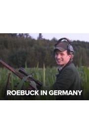 Roebuck In Germany
