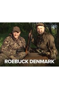 Roebuck Denmark