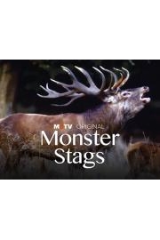 Monster Stags